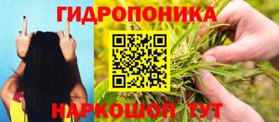 индика Моздок