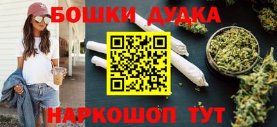 индика Моздок