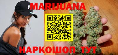 индика Моздок