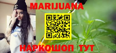 индика Моздок